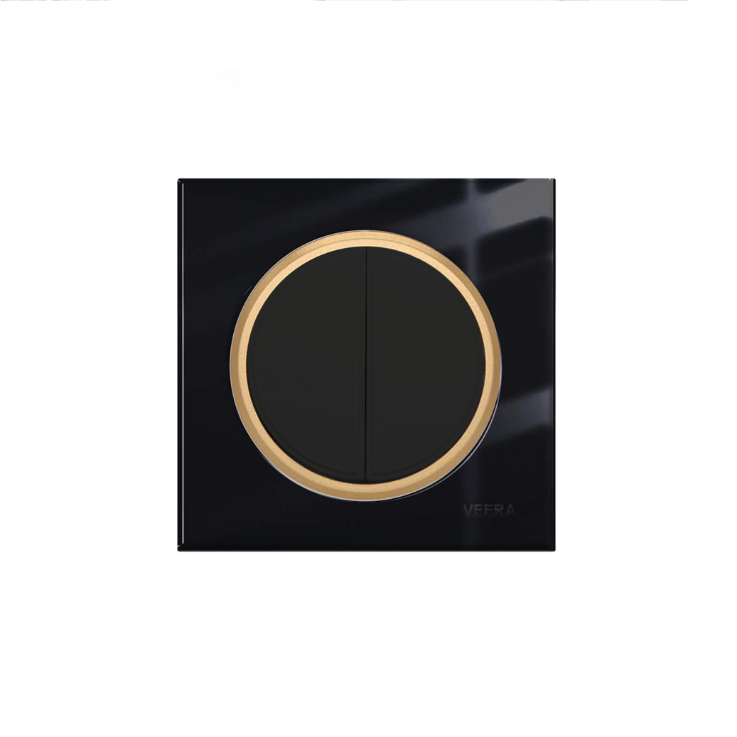 alpha-model-gold-border-glass-frame-sport-type-black-color-2gang